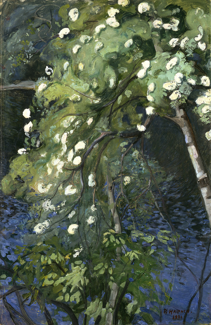 Pekka Halonen, Kukkivapihlaja, 1901, yksityiskokoelma. Kuva Museokuva